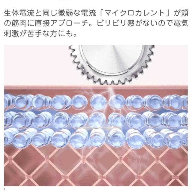 美顔ローラー EMS 微電流 Y字型 日本語取扱説明書付き フェイス